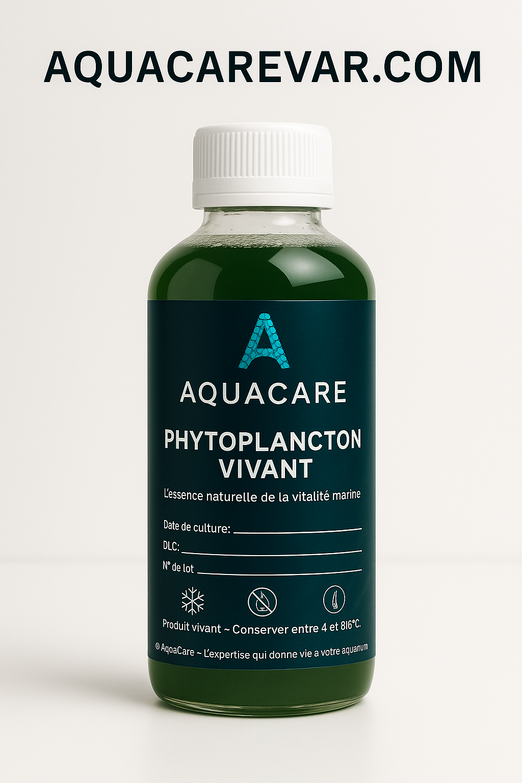 Phytoplancton Vivant