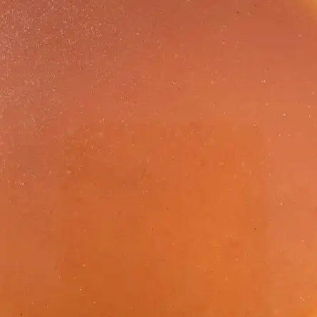 AQUAFOREST - Liquid Rotifer - 250ml - Nourriture liquide pour coraux